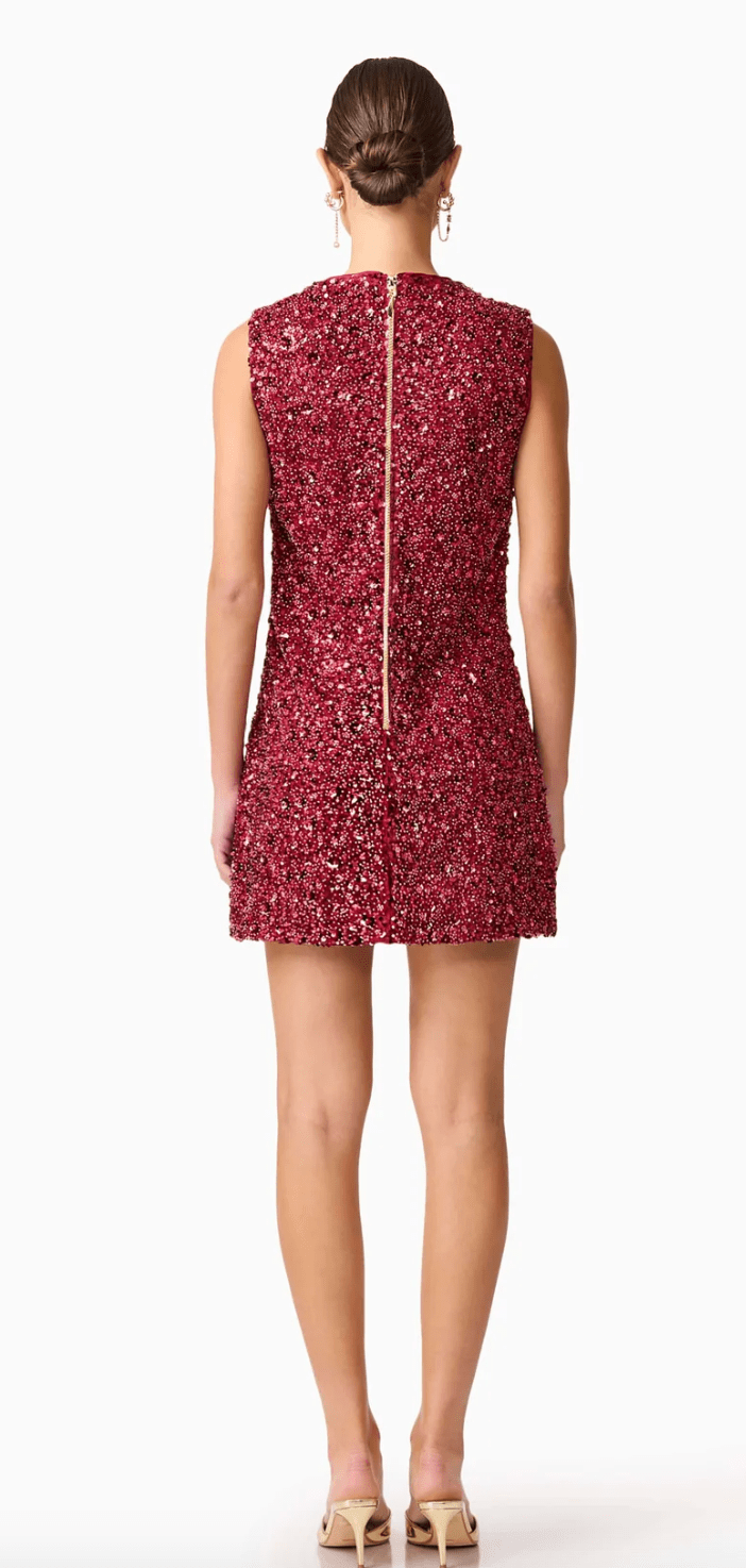 Berry Carmen Mini Dress - Amor Lafayette