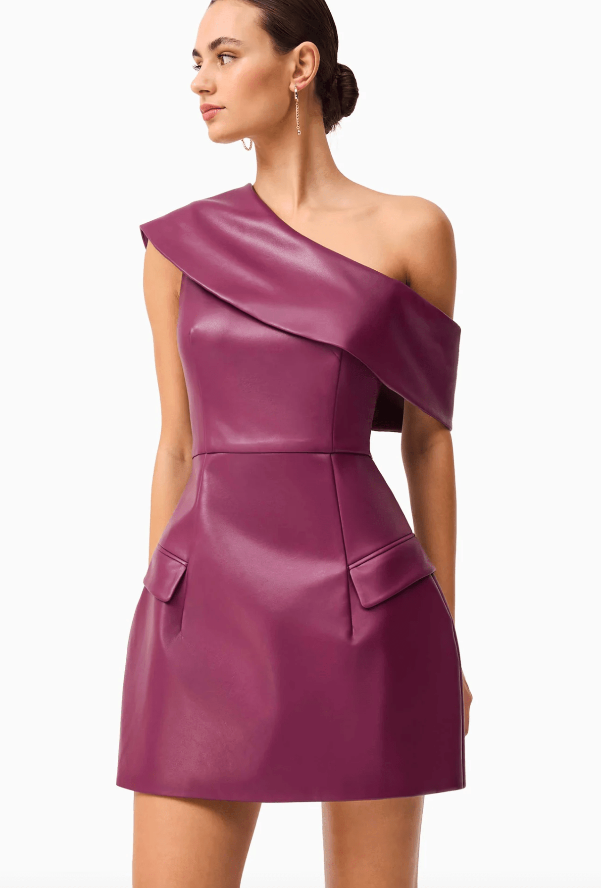 Berry Nova Mini Dress - Amor Lafayette