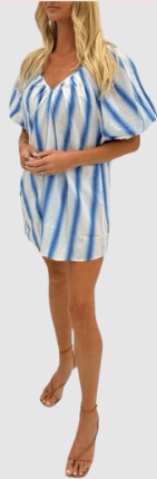 Blue Stripe Alix Dress - Amor Lafayette