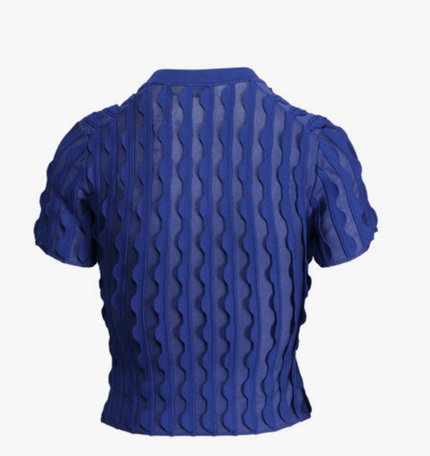 Blueberry Mallorie Scalloped Knit Polo - Amor Lafayette