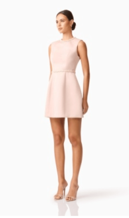 Camile Tulip Mini Dress - Amor Lafayette