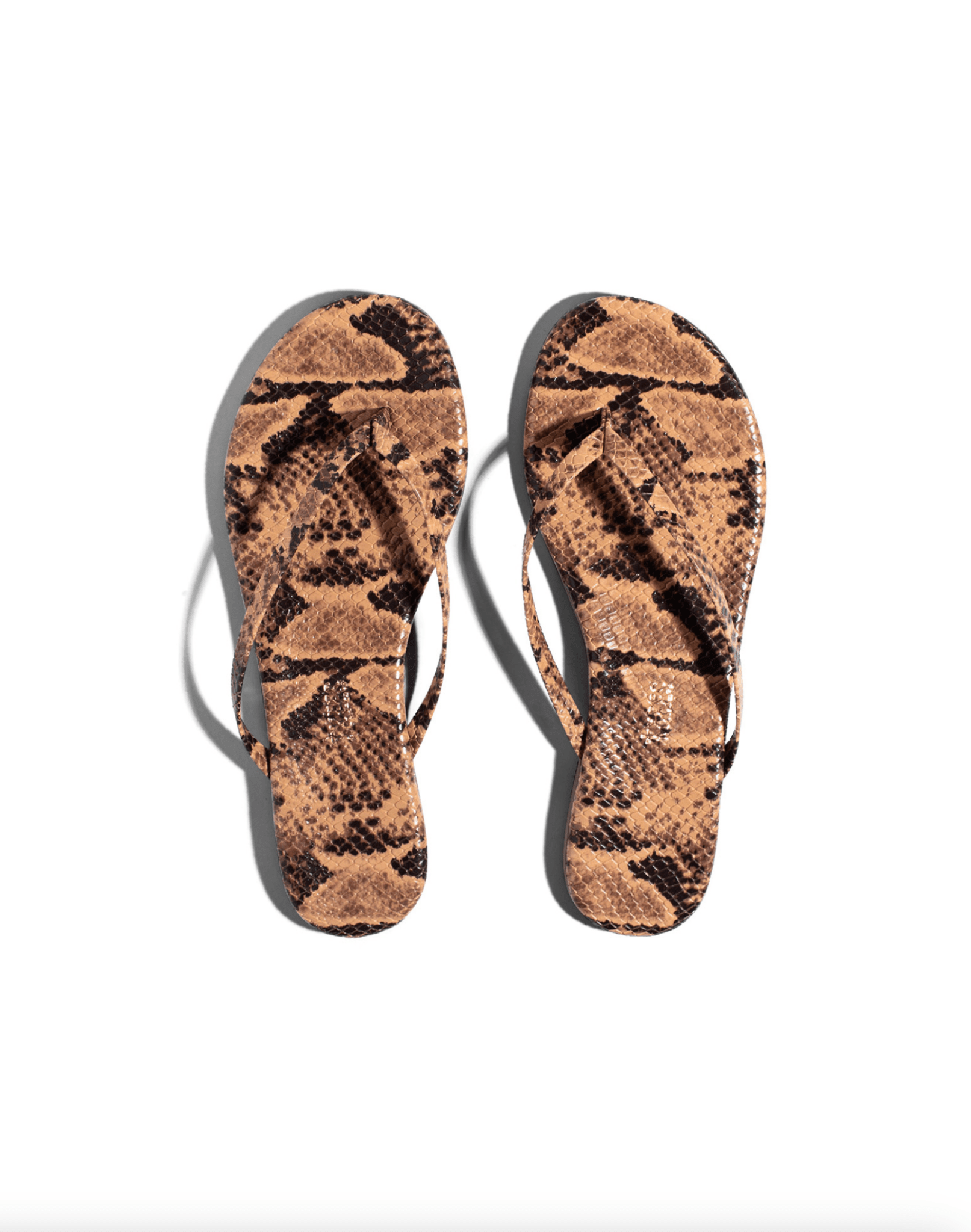 Coco Snake Studio Exotic Sandal - Amor Lafayette