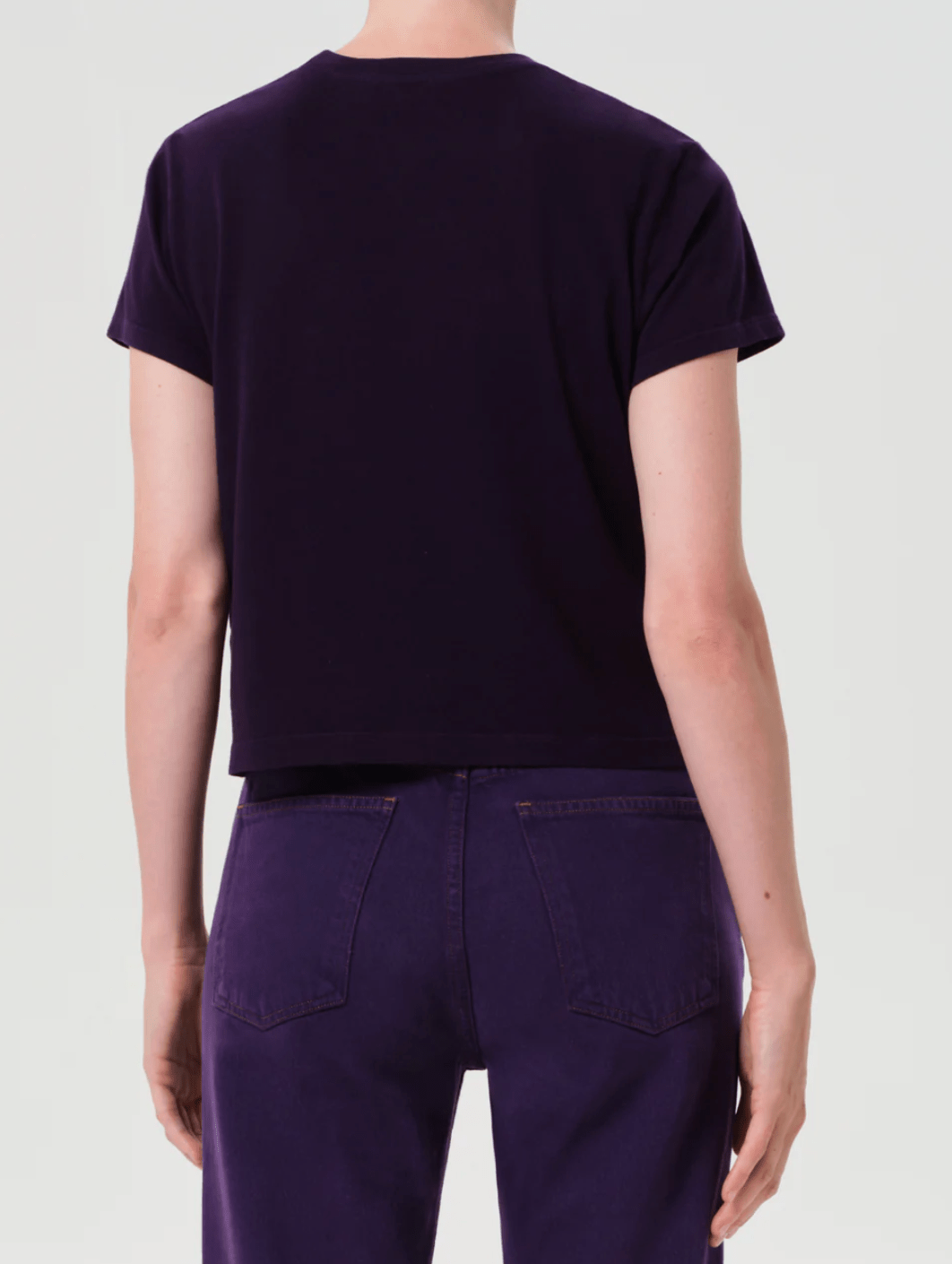 Cordial adine shrunken tee - Amor Lafayette