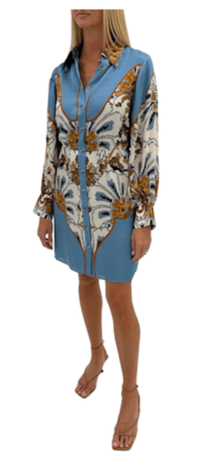 Cornflower Burst Avery Dress - Amor Lafayette