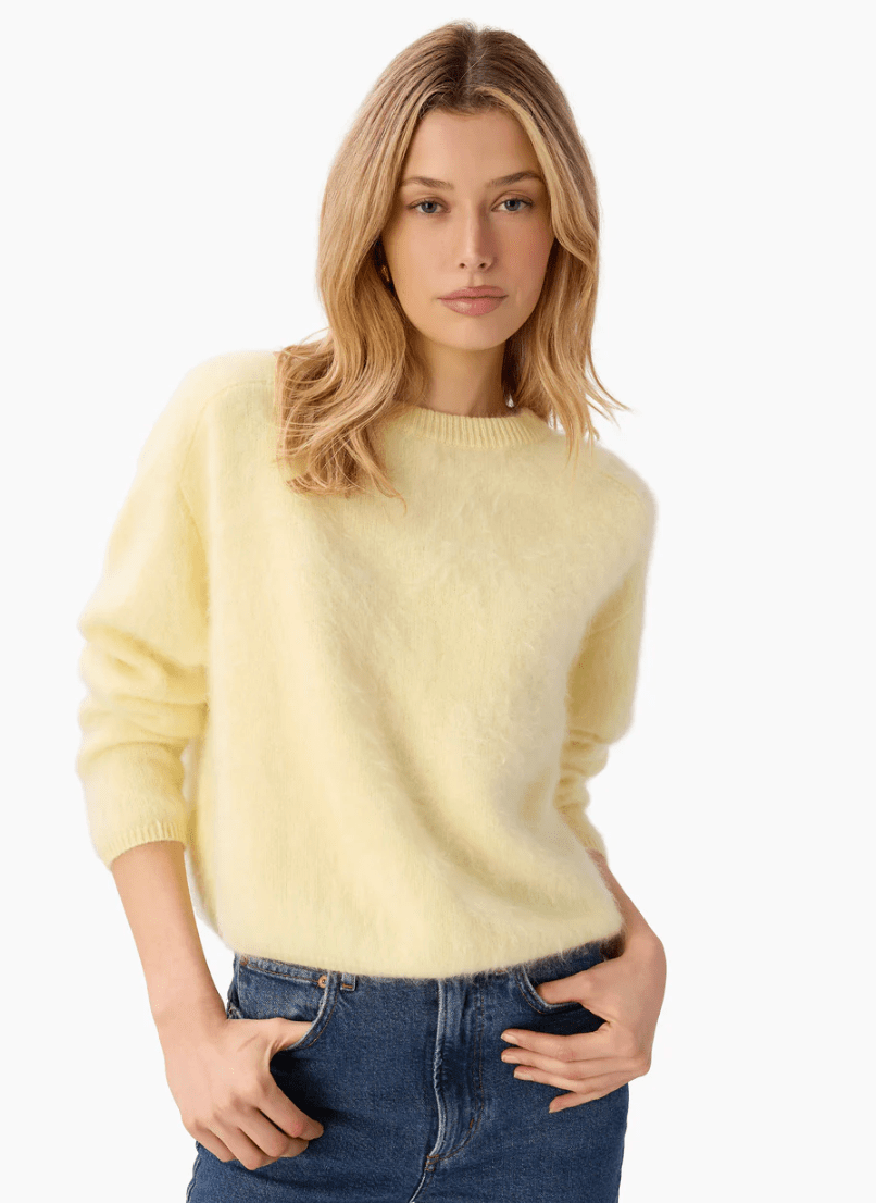 Custard Niall Cashmere Sweater - Amor Lafayette