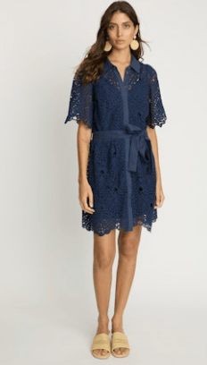 Eloise Dress In Navy Lace - Amor Lafayette