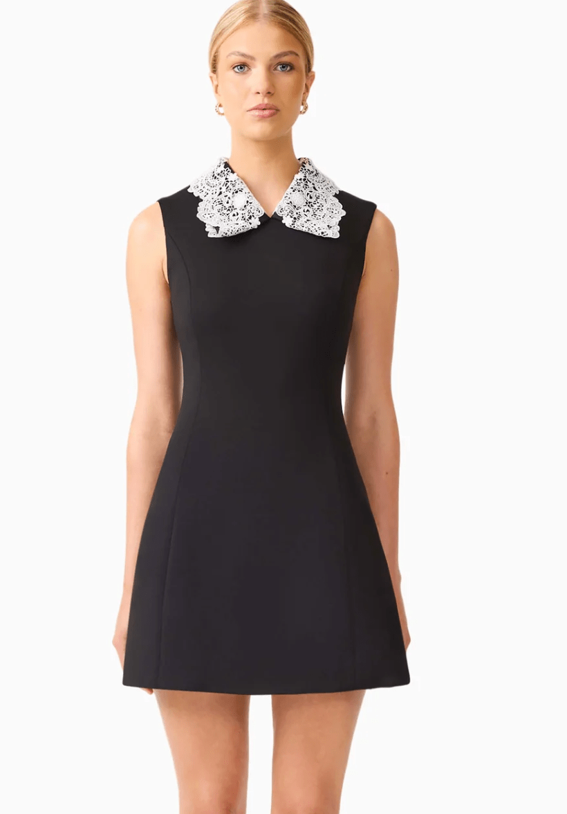Elysia Lace Collar Mini Dress - Amor Lafayette