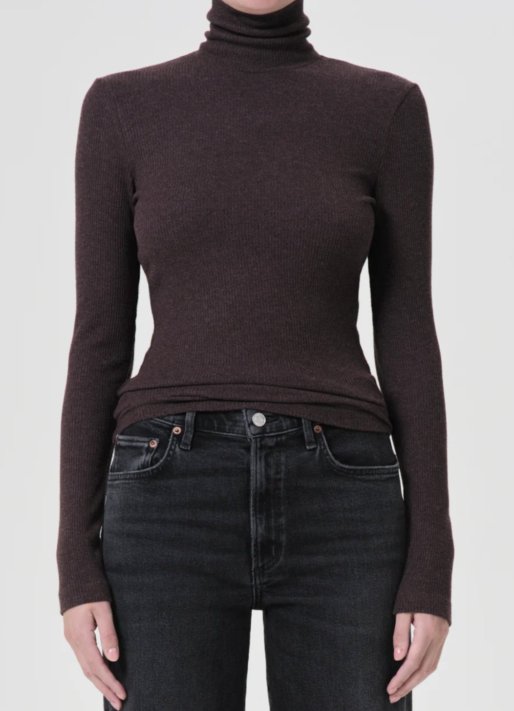 Fox Pascale Turtleneck Top - Amor Lafayette