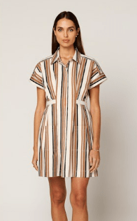 Giatta Stripe Sable Mini Dress - Amor Lafayette
