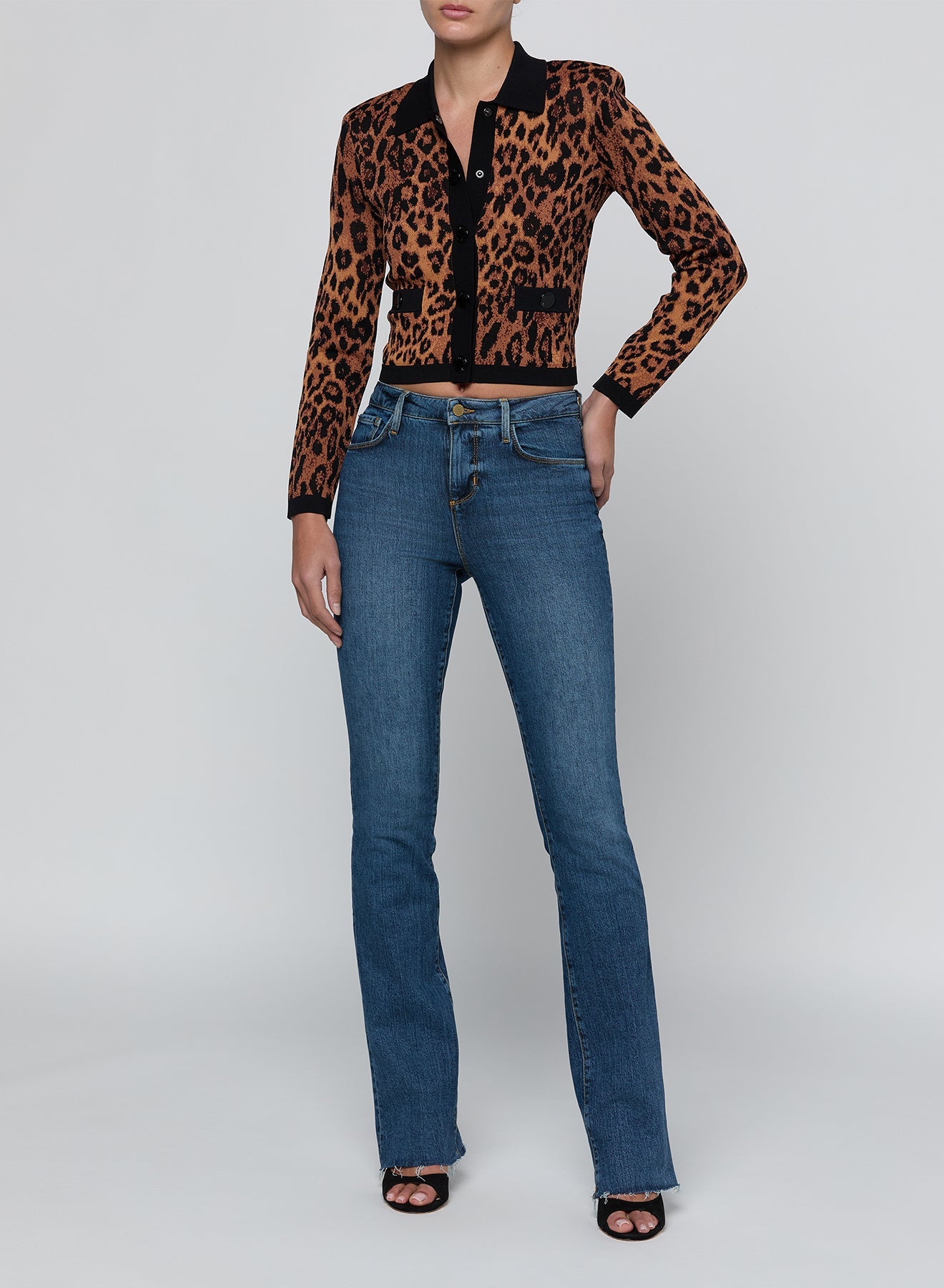 LEOPARD OSIRIS JACQUARRD COLLARD CARDI - Amor Lafayette