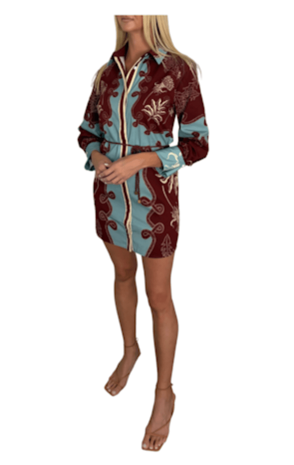 Light Blue/Maroon Avery Dress - Amor Lafayette