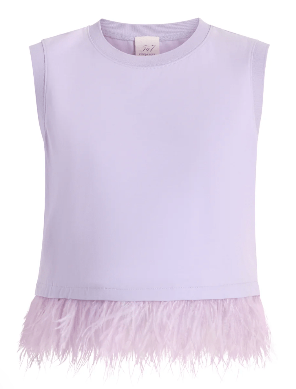 Light Honey Lavender Cropped Feather Tee - Amor Lafayette