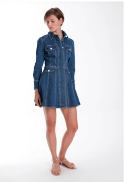 Navy Daniela Denim Mini Dress - Amor Lafayette