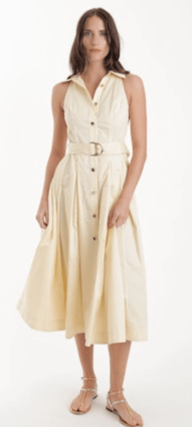 Pastel Yellow Zarae Solid Dress - Amor Lafayette
