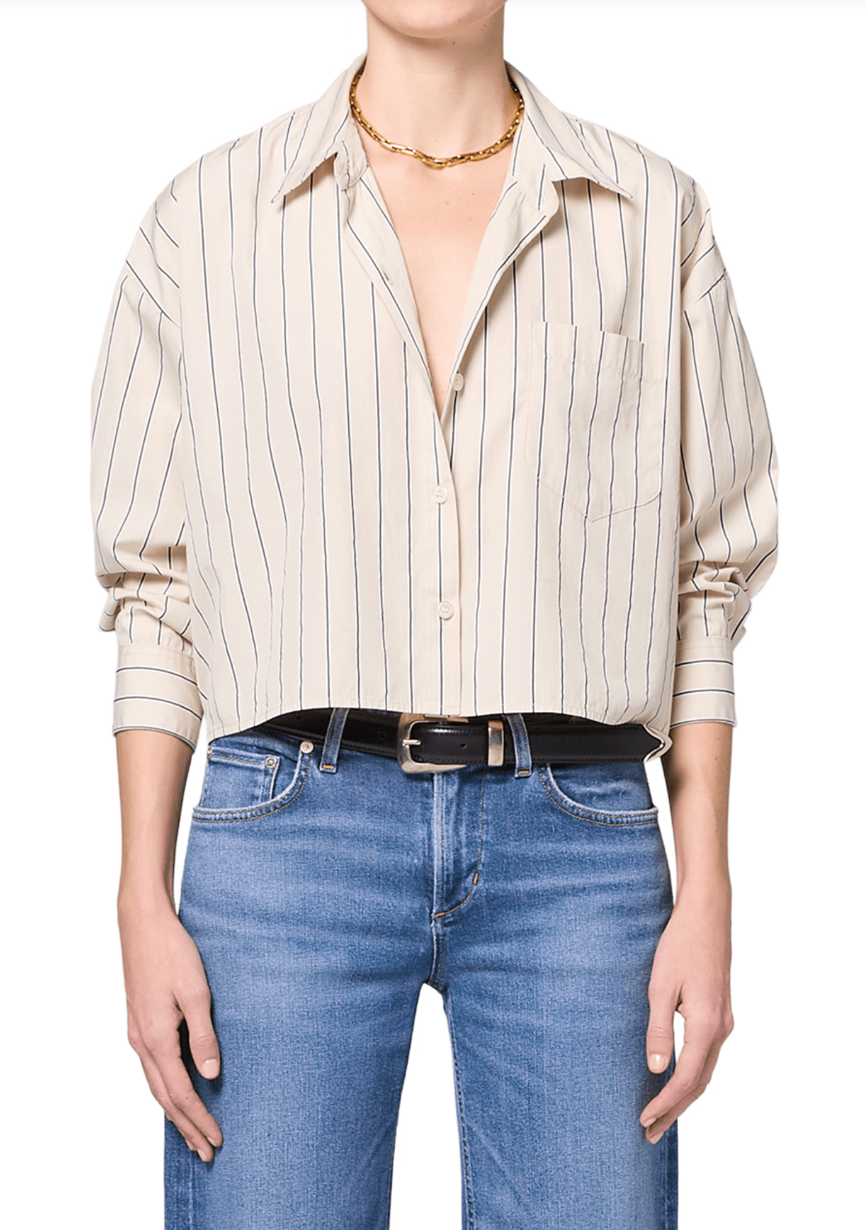 Petit Ami Shirt in Ramble Stripe - Amor Lafayette