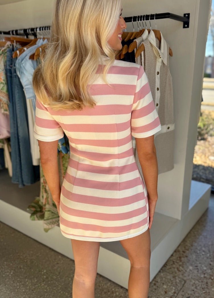 Pink Ivory Stripe Taylor Ponte Dress - Amor Lafayette