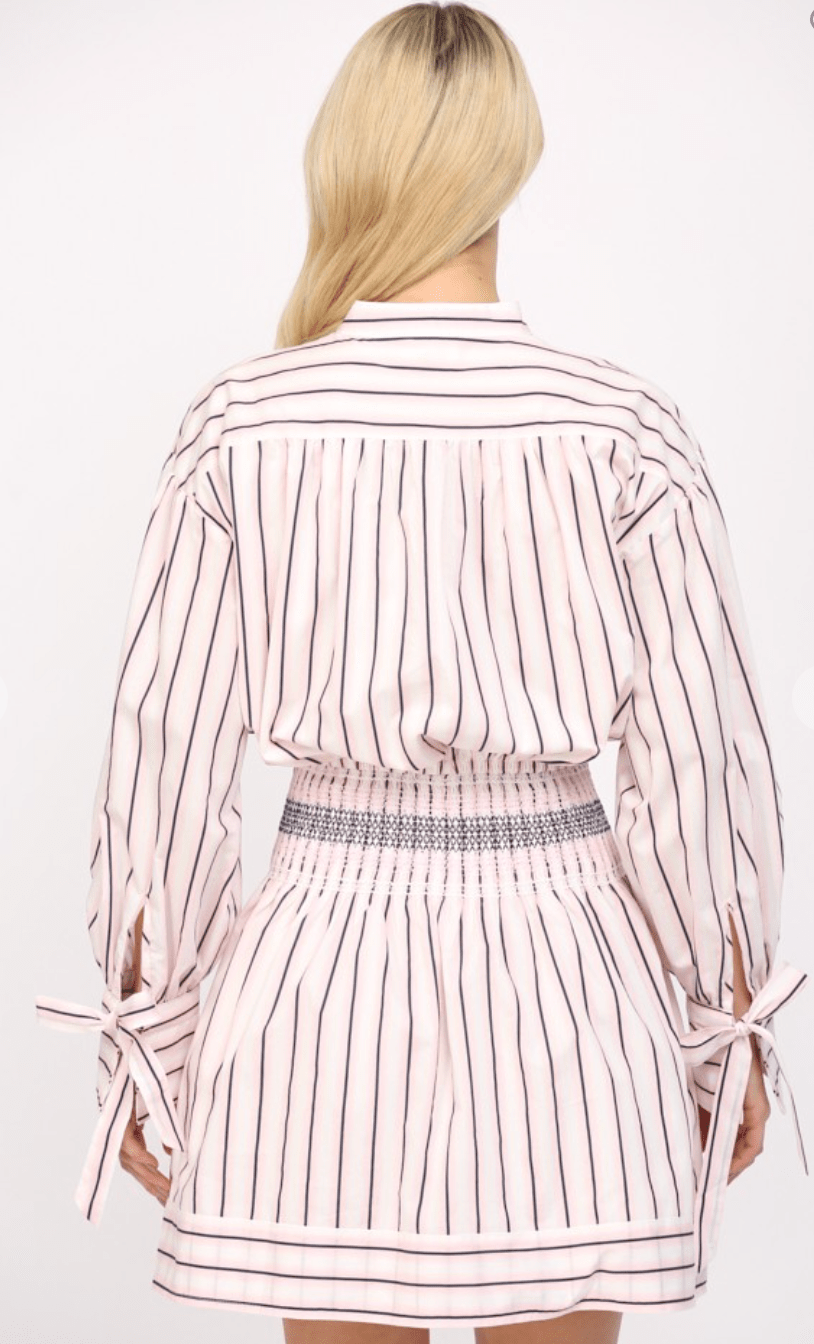Pink Stripe Smocked Wast Shirt Dress - Amor Lafayette
