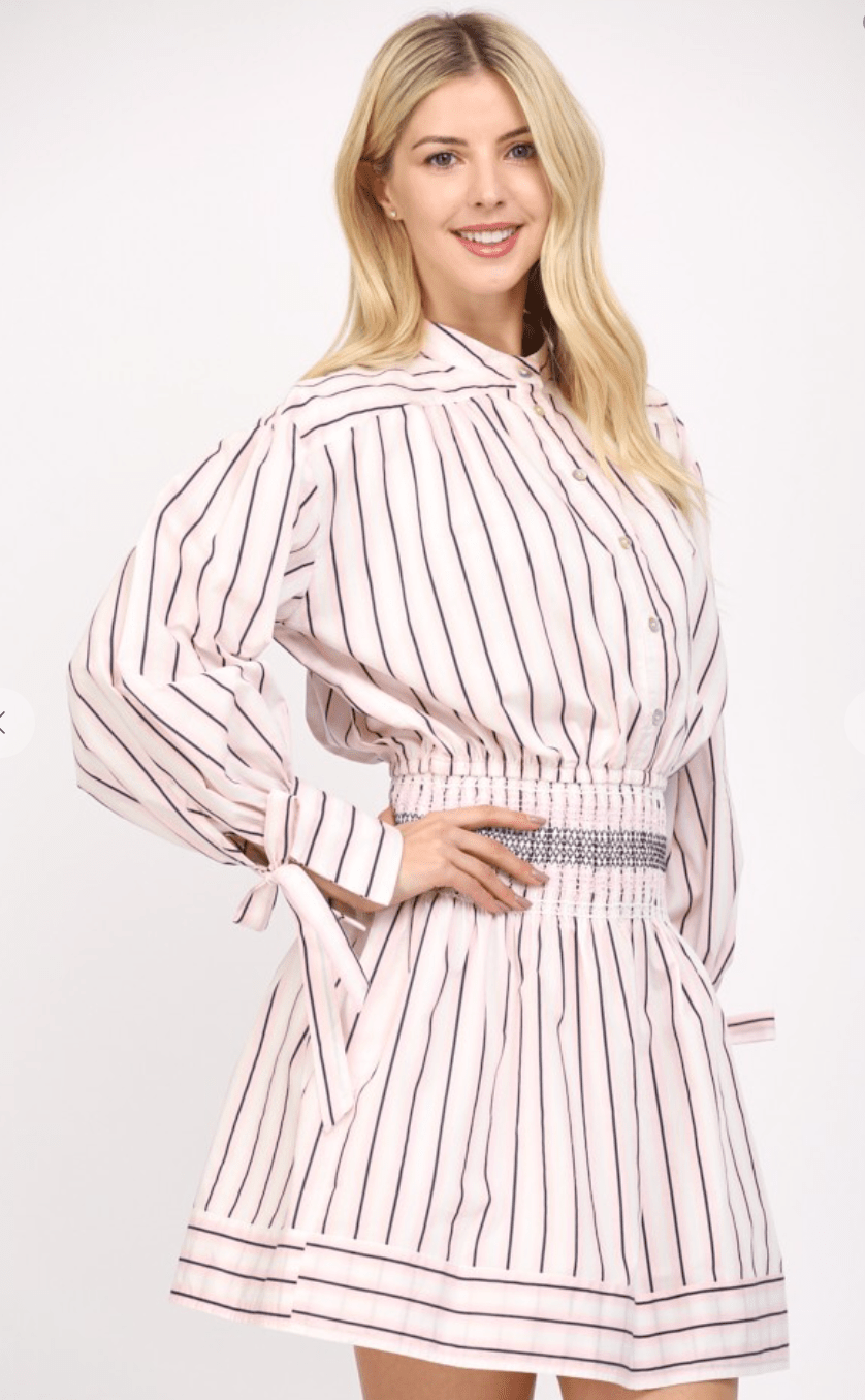 Pink Stripe Smocked Wast Shirt Dress - Amor Lafayette