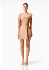 Rust Rhian Off Shoulder Mini Dress - Amor Lafayette