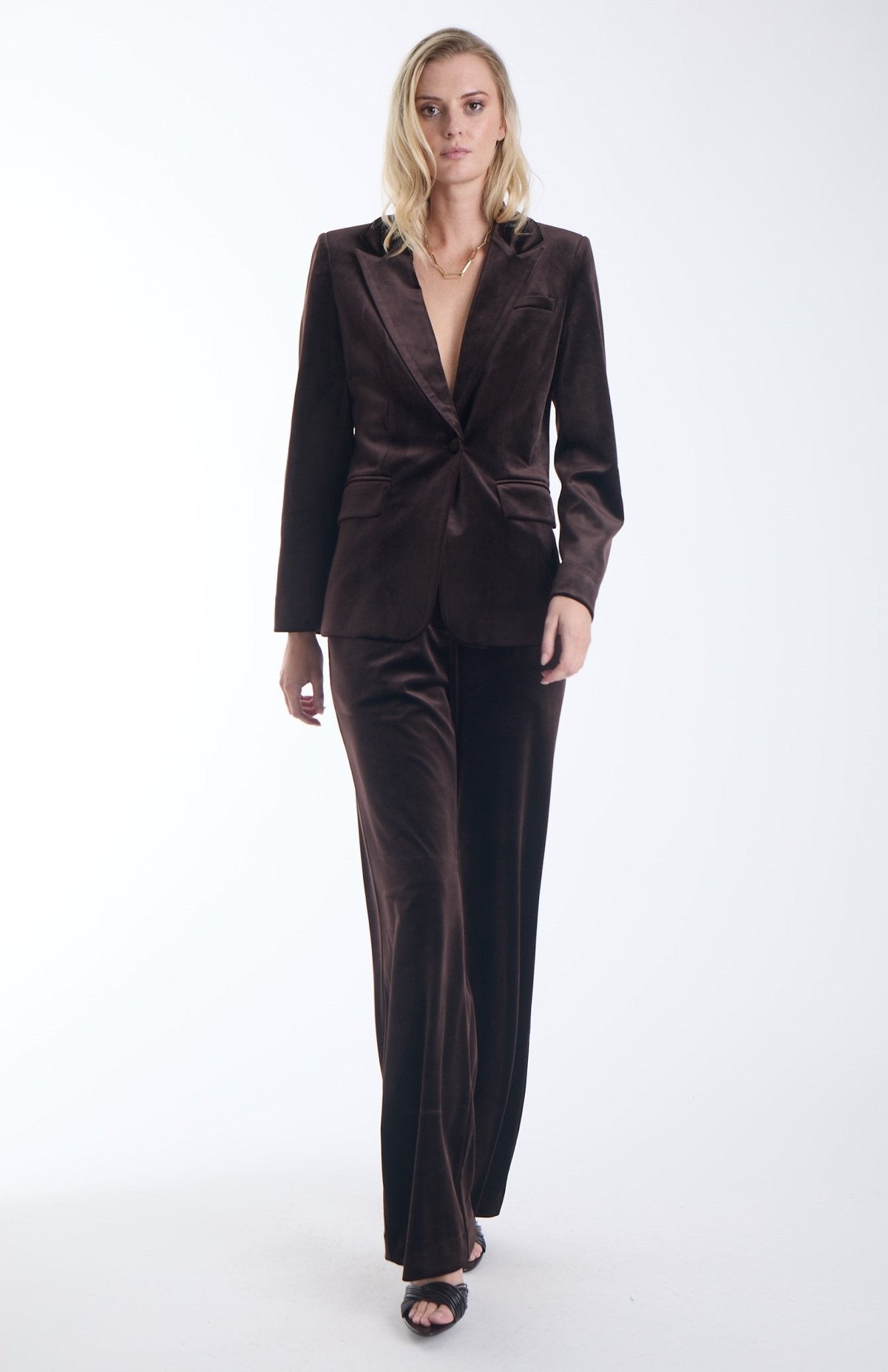 Shon Espresso Velvet Jacket - Amor Lafayette