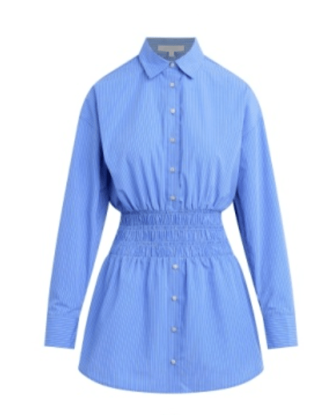 The Waist Not Dress in Blue/White Stripe - Amor Lafayette