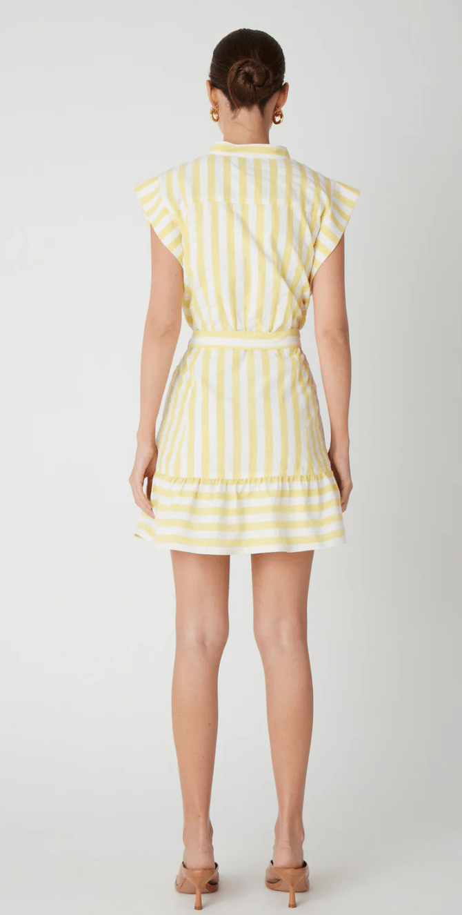 Yellow White Stripe Lavina Cotton Dress - Amor Lafayette